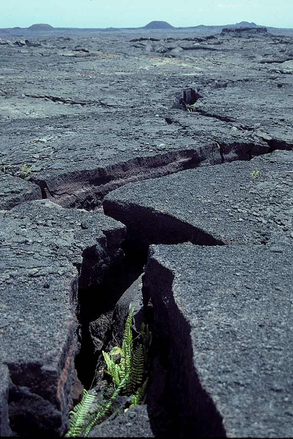 Kilauea East Rift Zone