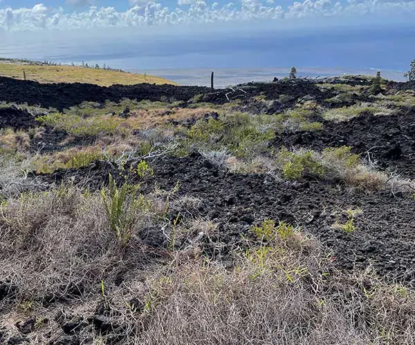 Chain of Craters Road View to the Ocean