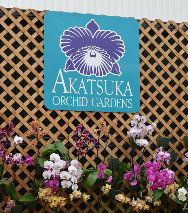 Akatsuka Orchid Farm