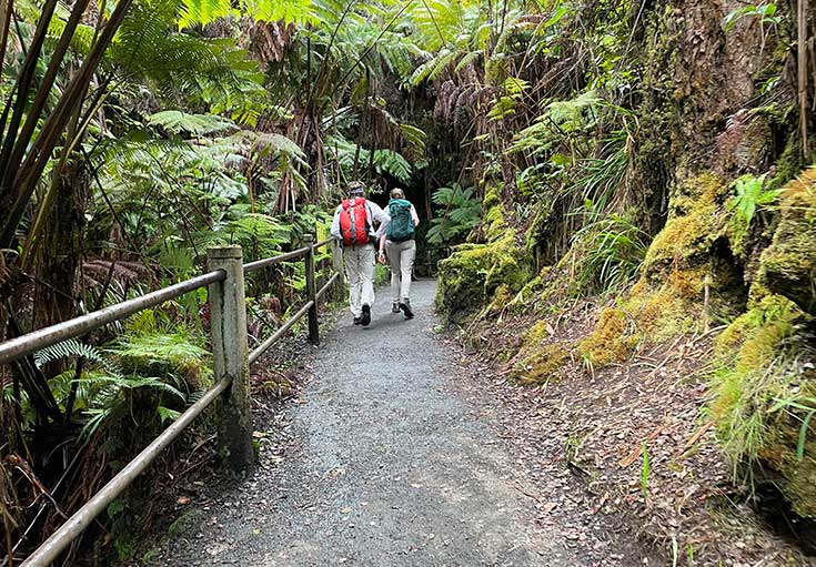 Couple on a Honeymoon in Volcanoes National Park