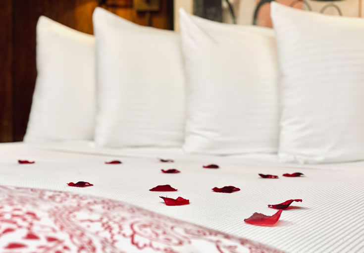 Red Rose Petals on Bed