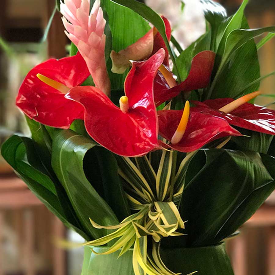 Bouquet of tropical flowers