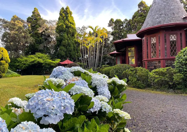 Flowers along path leading to Volcano Village Estates