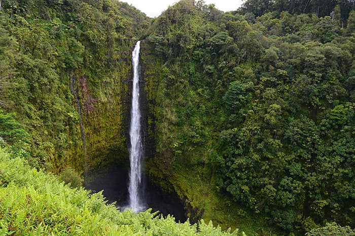 Akaka Falls in Hilo, Hawaii