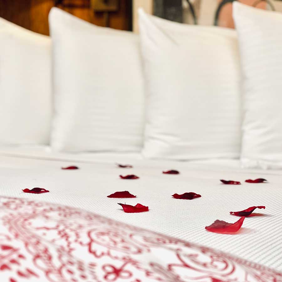 Red Rose Petals on Bed
