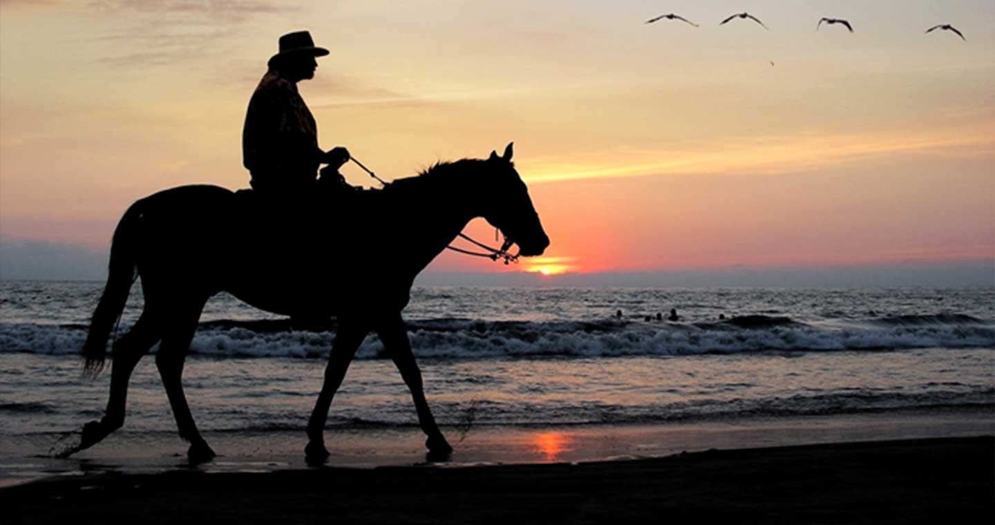 silhouette of man riding horse on a beach at sunset