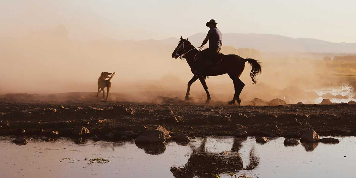 silhouette of man riding horse under a dust cloud