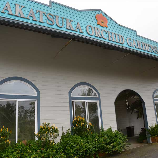 big island shopping in akatsuka orchid garden