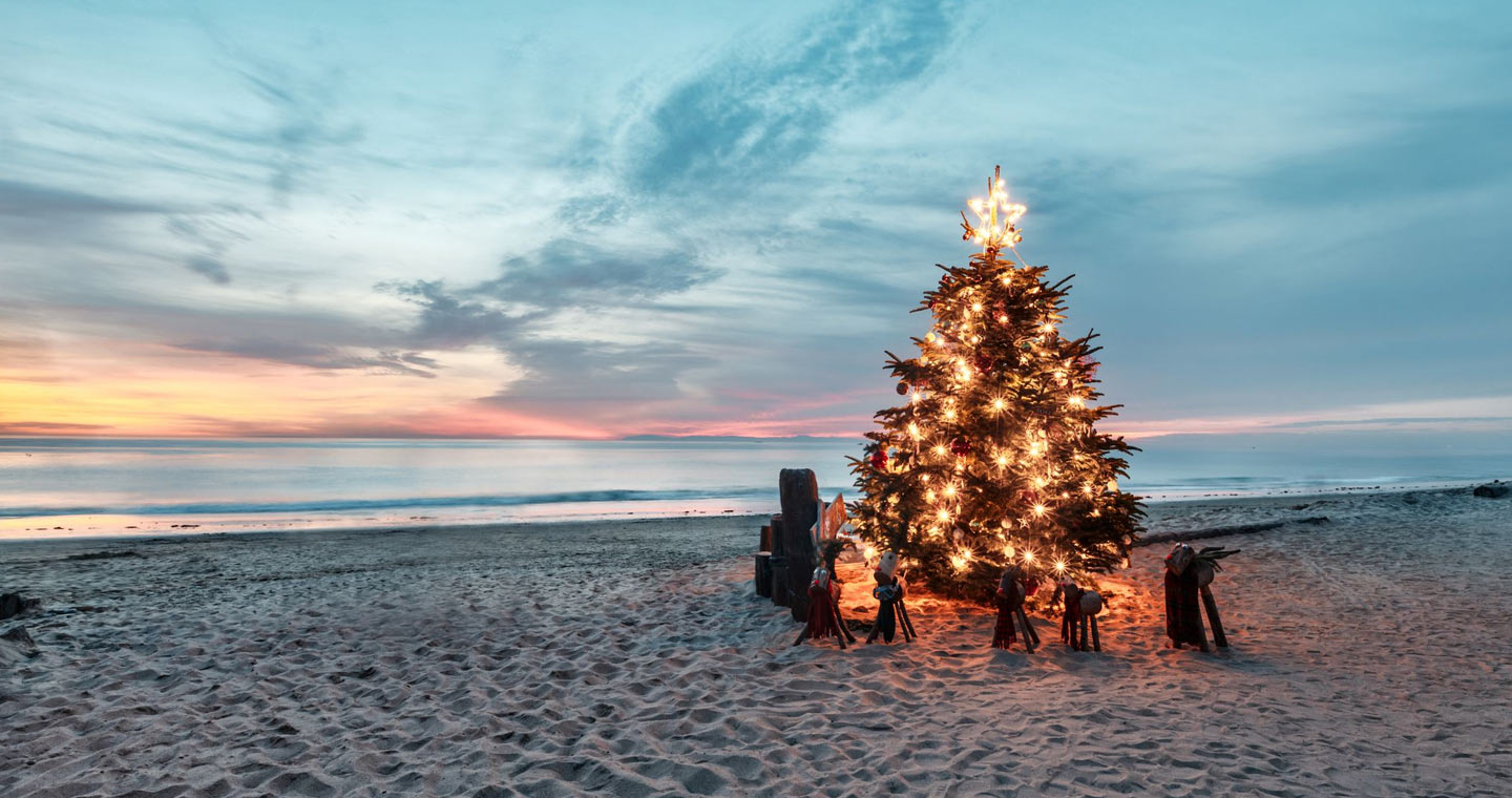 Christmas tree on beach on Big Island Hawaii