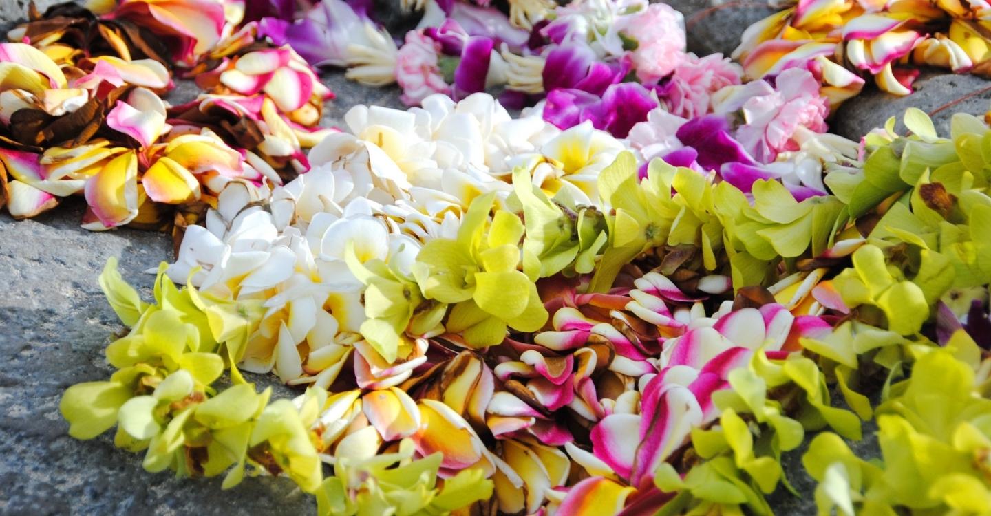 Hawaiian lei necklaces on a rock