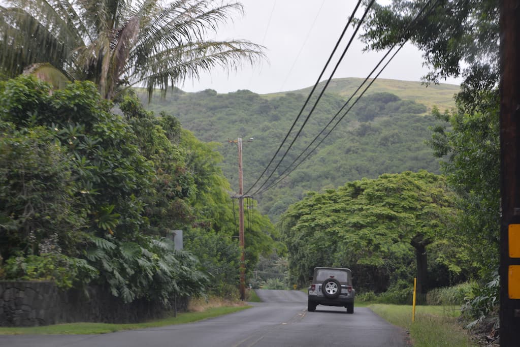 A jeep rental car driving down the road through Volcano, Hawaii