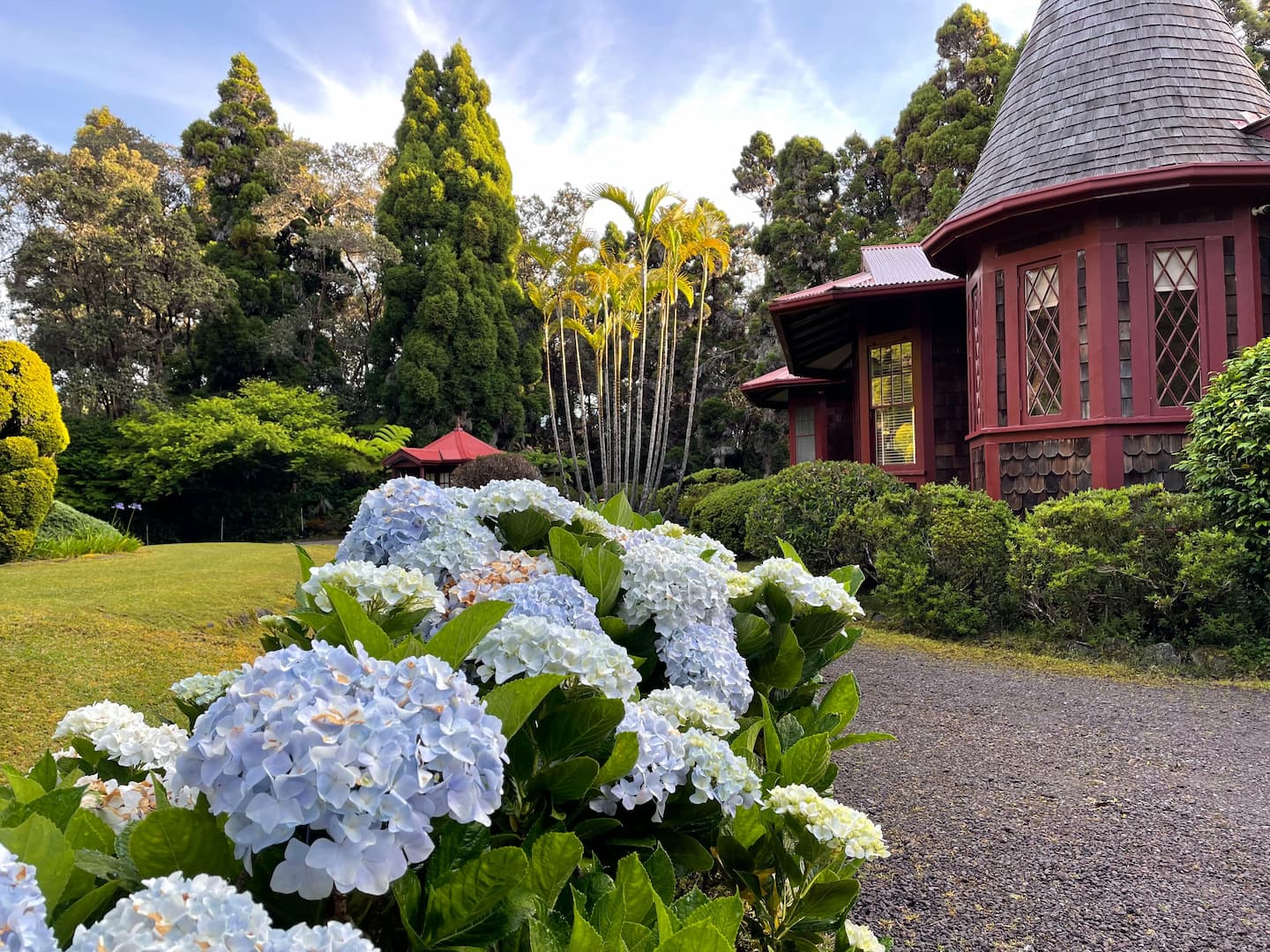 Flowers outside of our Big Island bed and breakfast