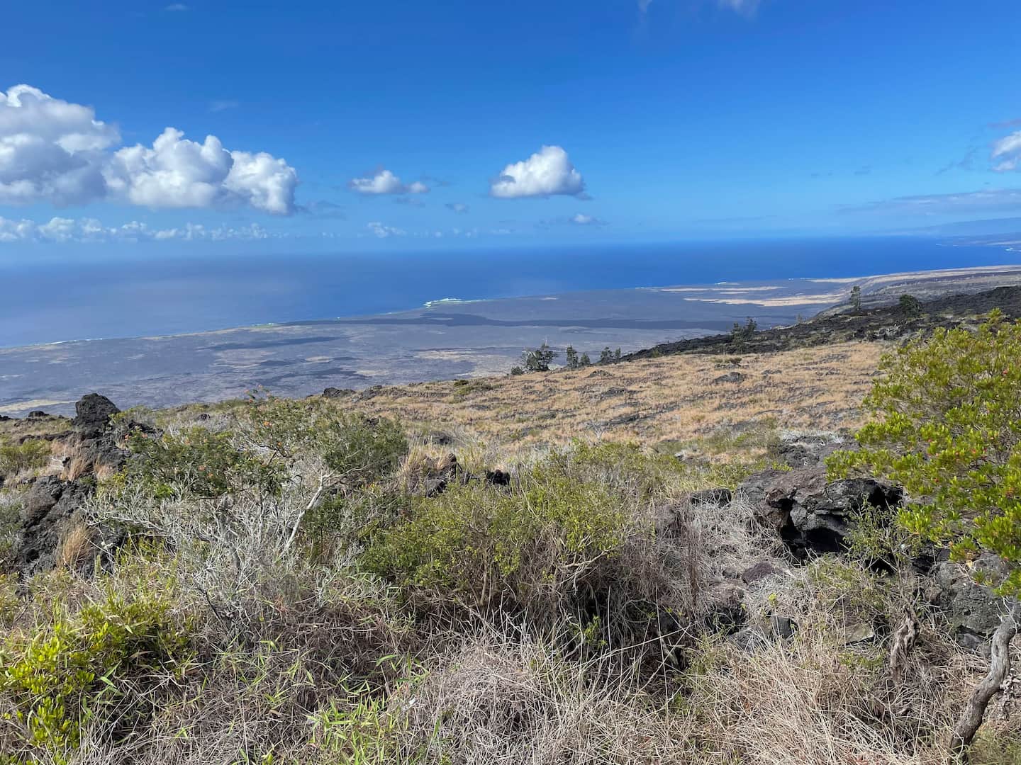Chain of Craters Road at Hawaii Volcanoes National Park