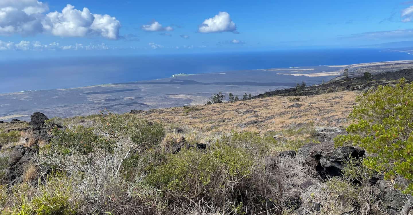 A view along Chain of Craters Road on the Big Island